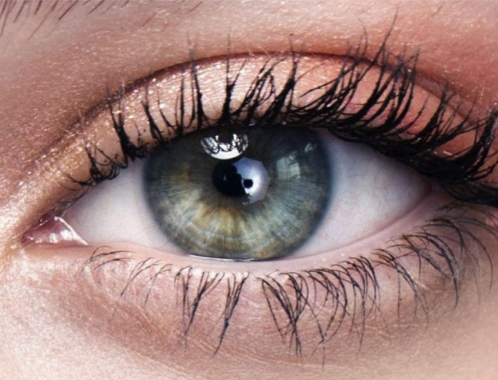 ESW vision starts business operations in the US market